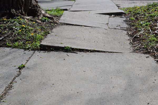 Cost of Trip Hazard Removal in Lake Charles